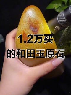 2002年1.2万收的和田玉原石,现在值多少钱?
